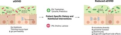 From support to therapy: rethinking the role of nutrition in acute graft-versus-host disease